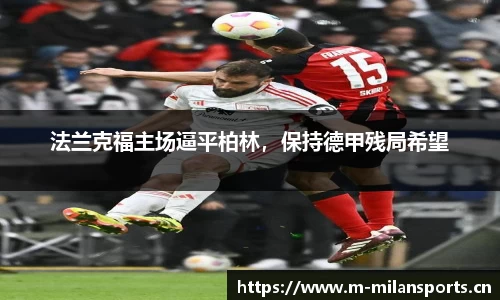 米兰体育官网