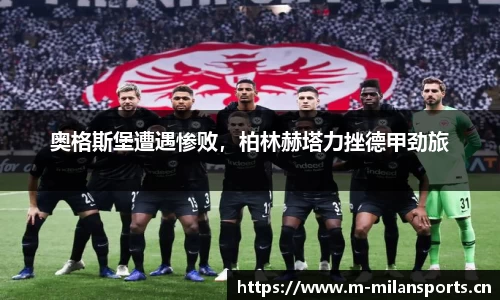 米兰体育官网
