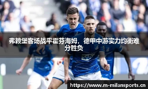 弗赖堡客场战平霍芬海姆，德甲中游实力均衡难分胜负