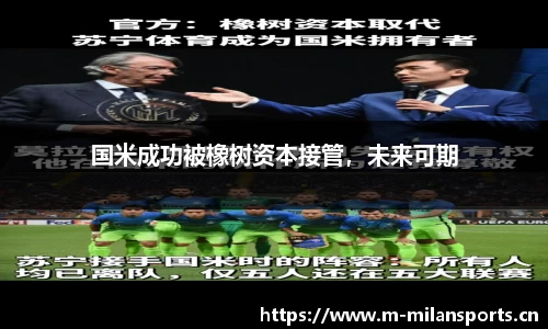 米兰体育平台