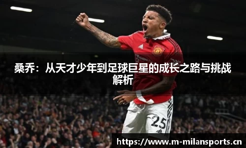 米兰体育平台